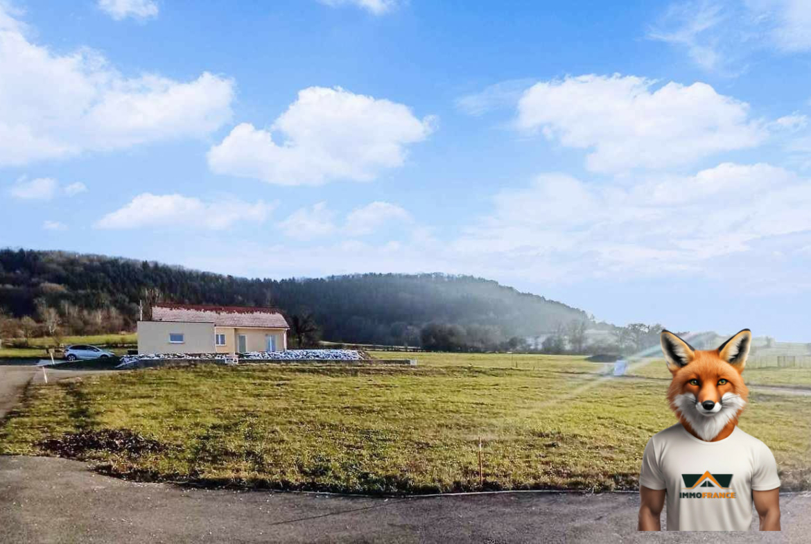 1751894556_VT196_3_original