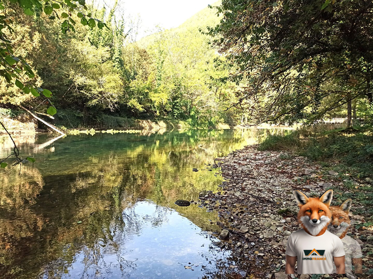 1751894808_VM2010_6_original