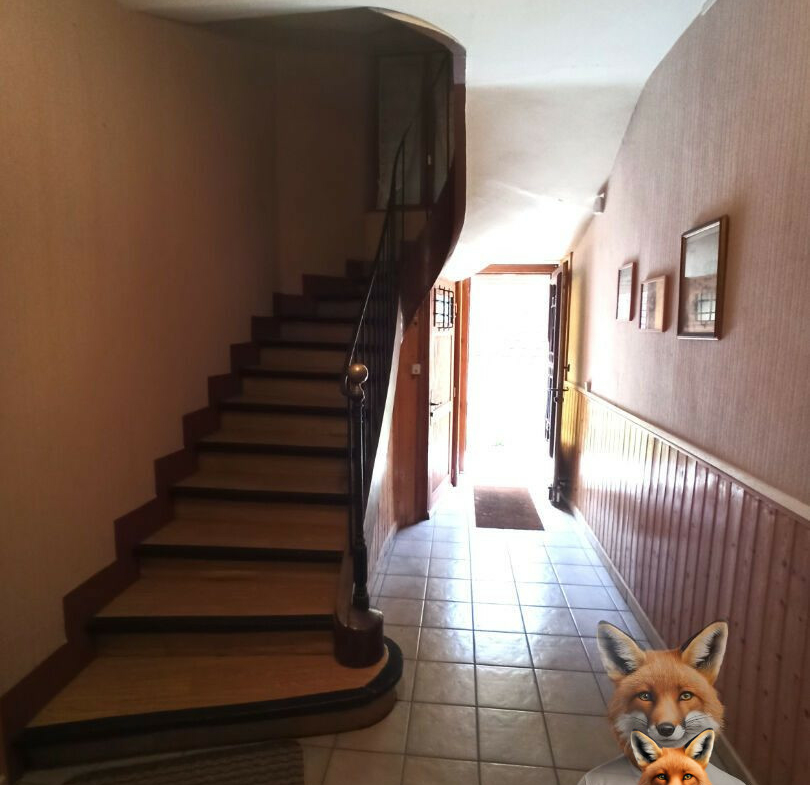 1751894809_VM2010_11_original