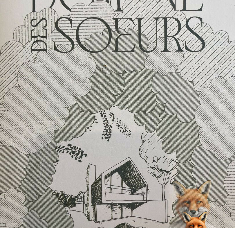 1751894809_VT248_1_original