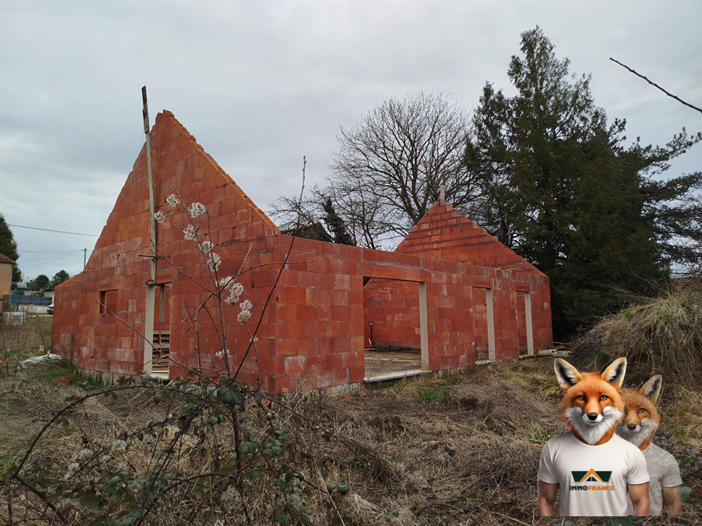 1751894815_VM2044_1_original