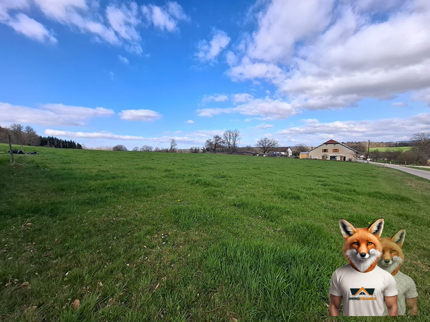 1751894861_VT268_1_original