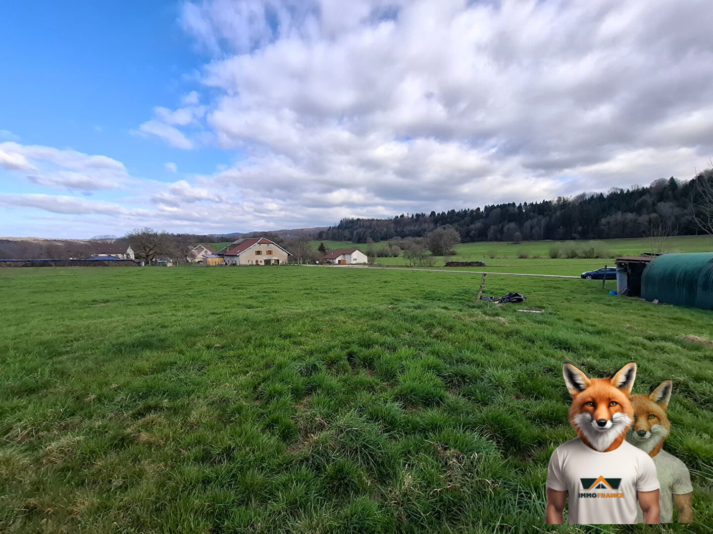 1751894861_VT268_2_original