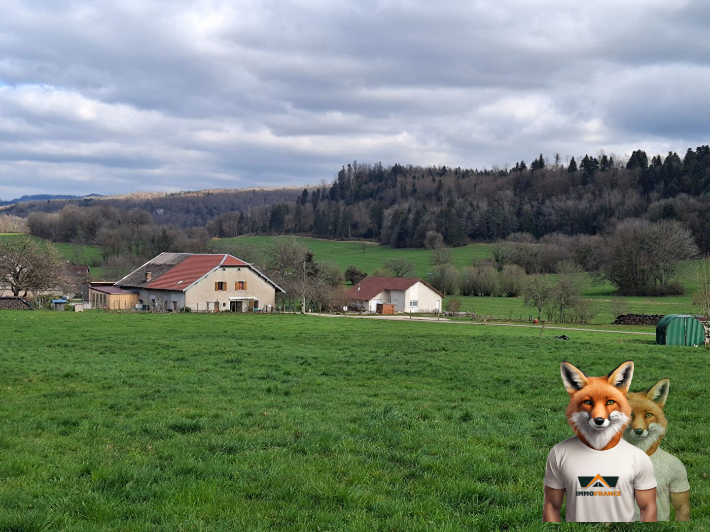 1751894861_VT268_3_original