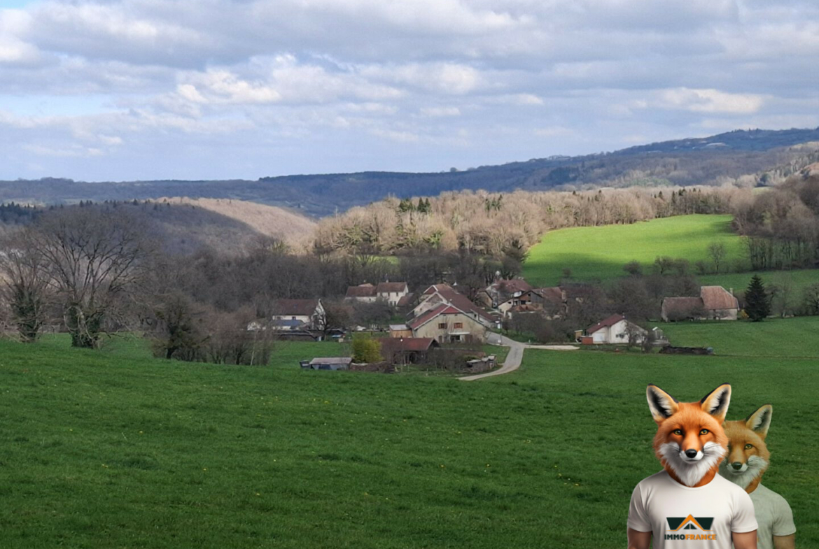 1751894861_VT268_4_original