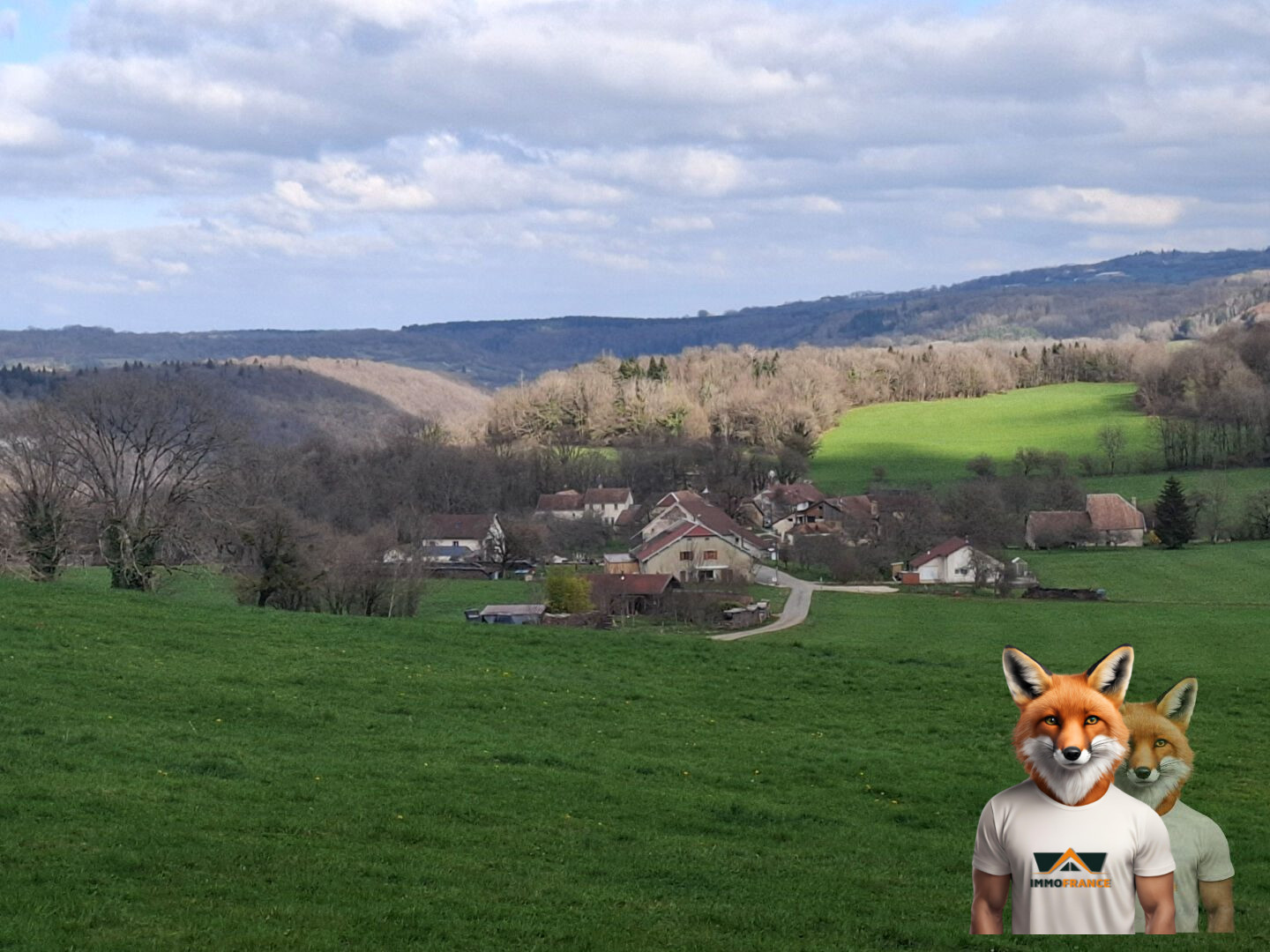 1751894861_VT268_4_original