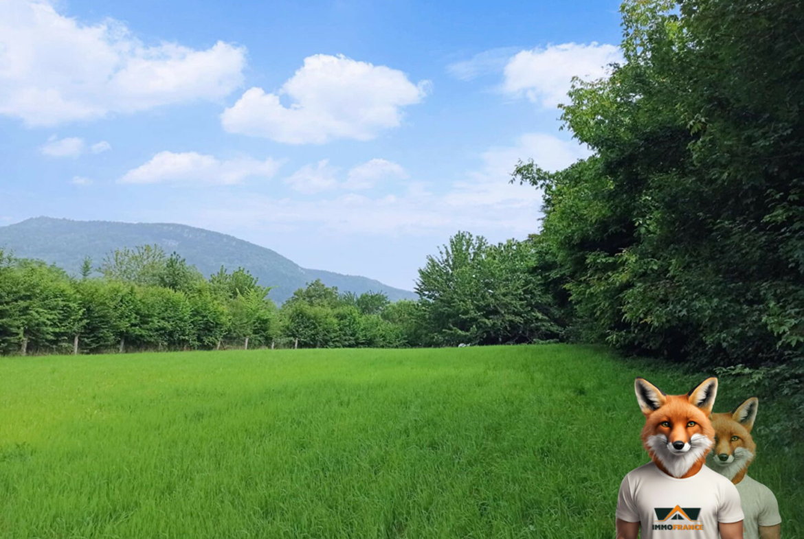 1751894925_VT276_1_original