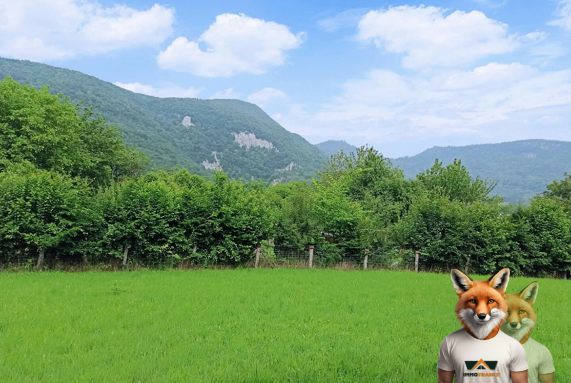 1751894925_VT276_2_original