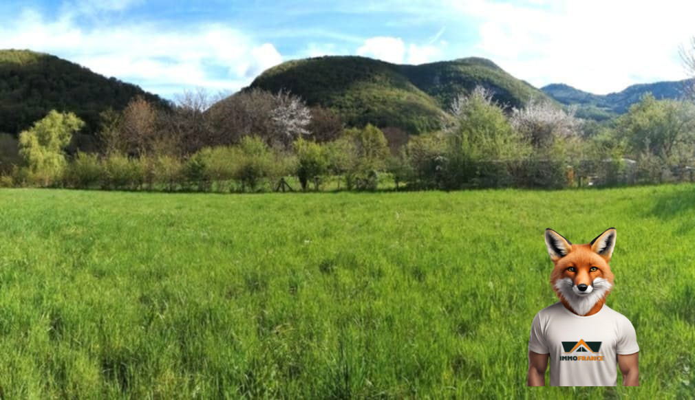 1751894925_VT276_4_original