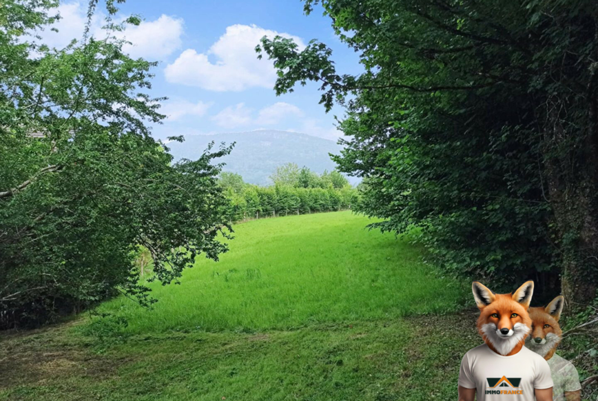 1751894925_VT276_5_original