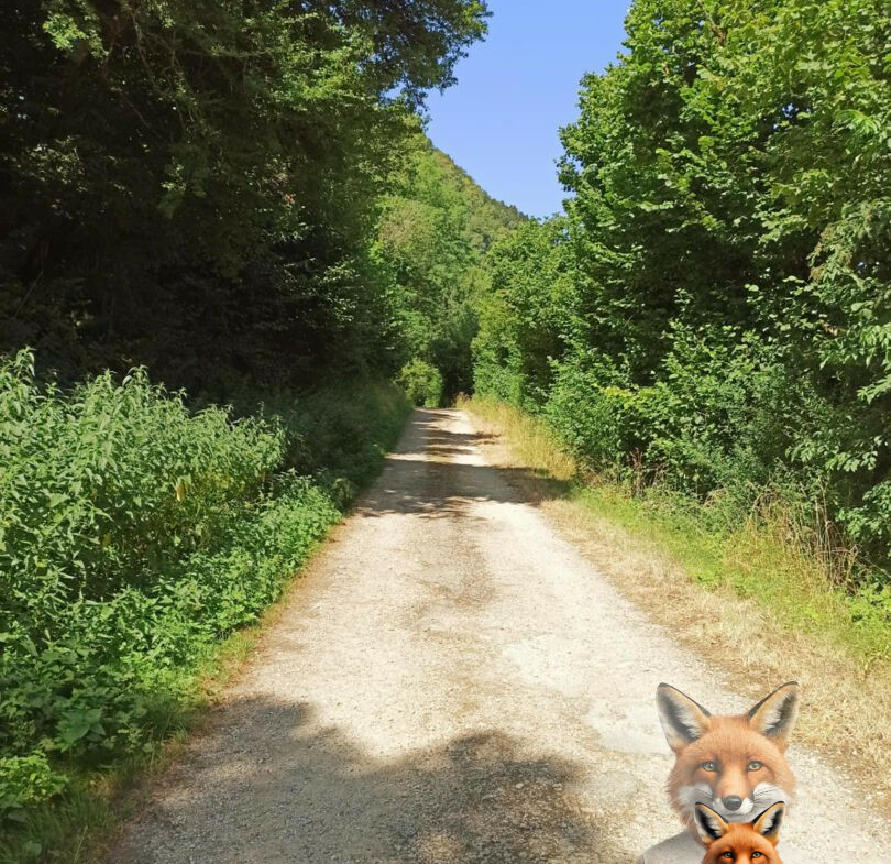 1751894925_VT276_6_original