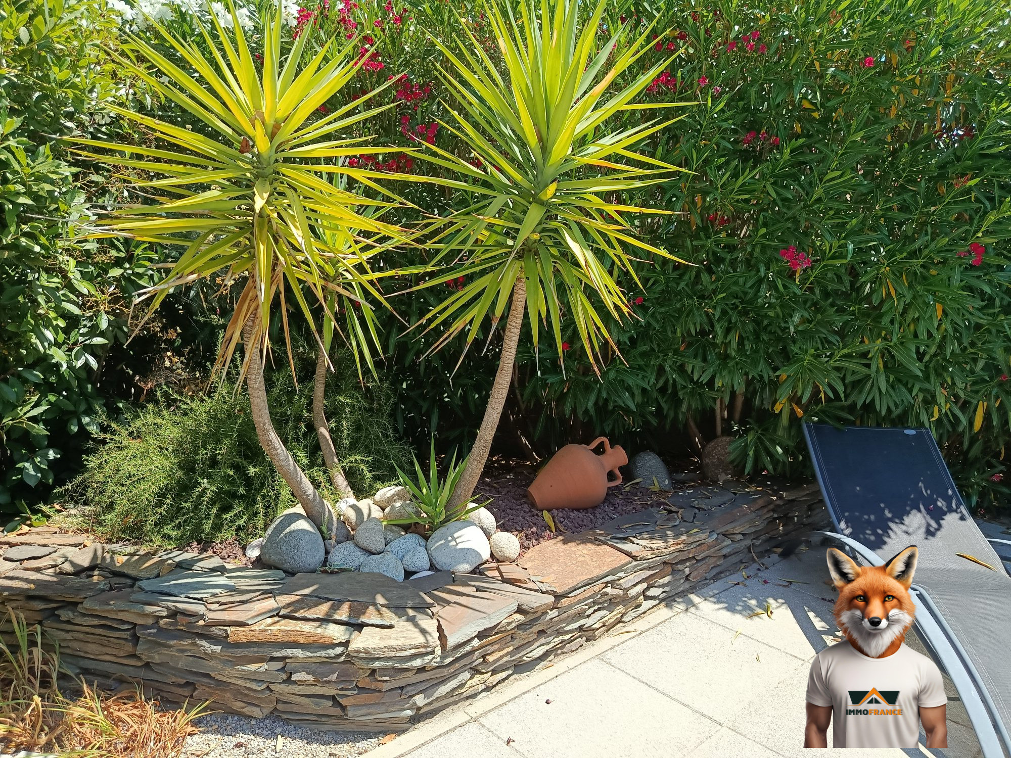 1753347212_VM2246_2_original