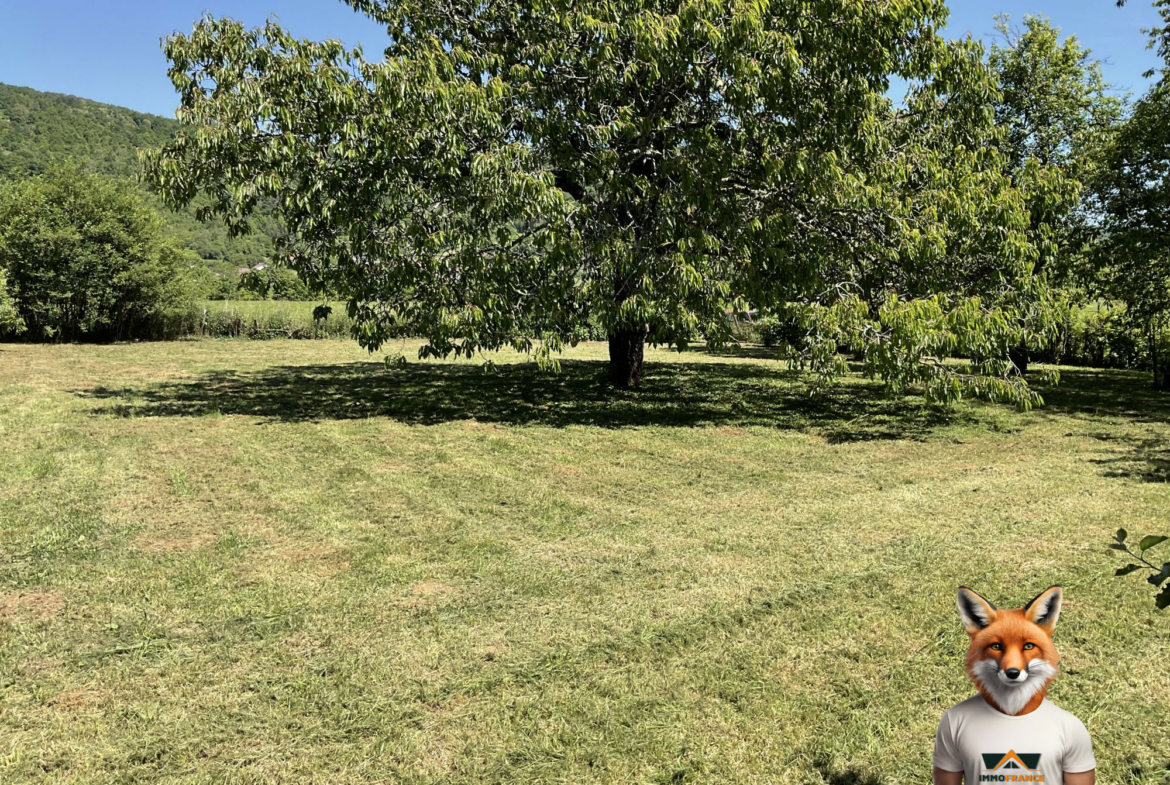 1756145084_VT282_1_original