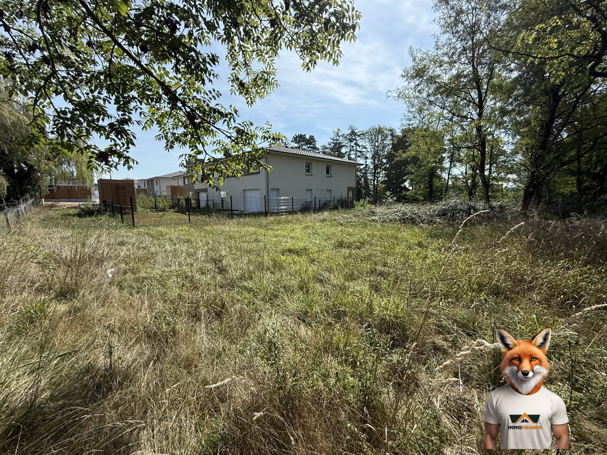 1756300264_VT284_1_original