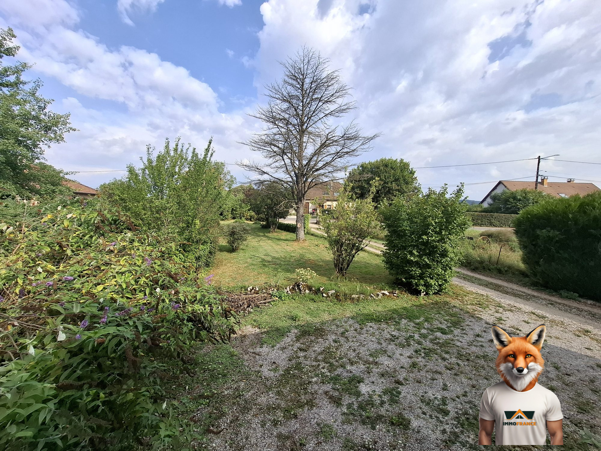 1756371015_VM2289_5_original