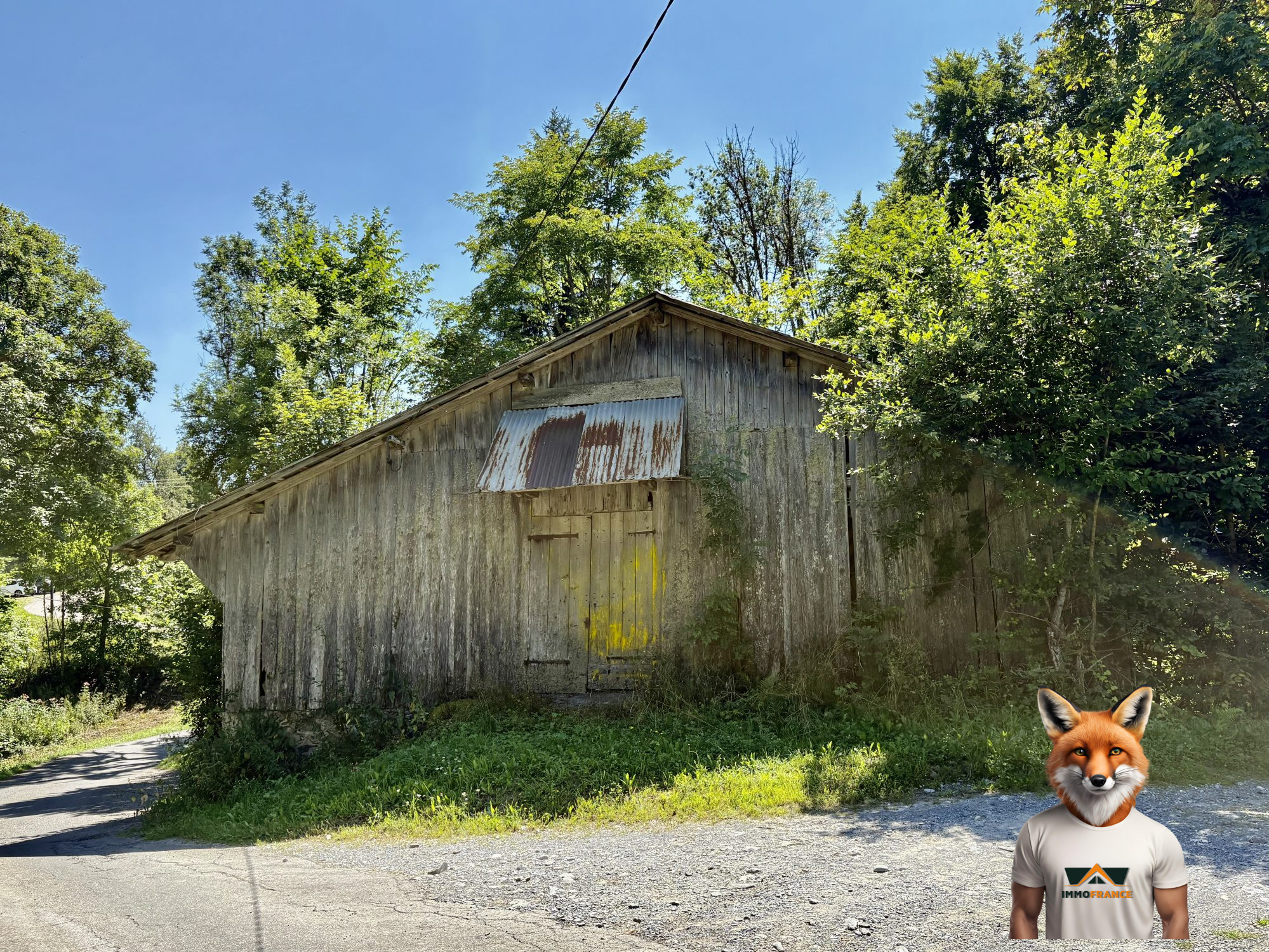 1756976731_VM2264_1_original