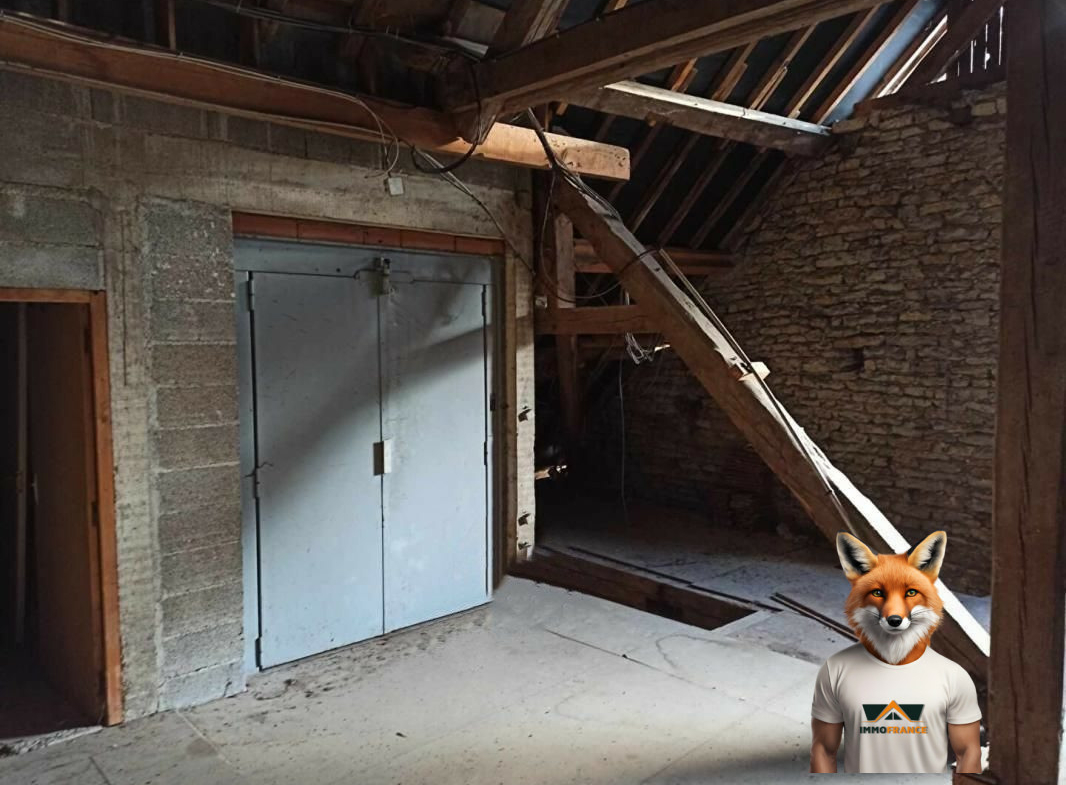 1758103027_VA3761_11_original