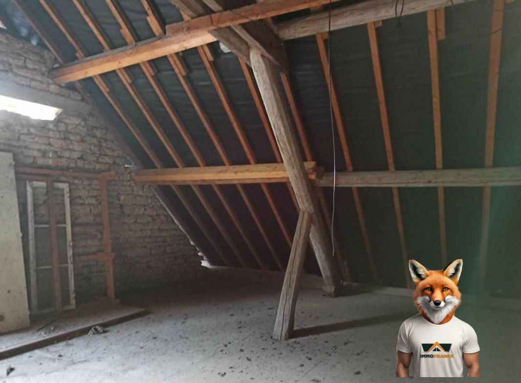 1758103027_VA3761_12_original