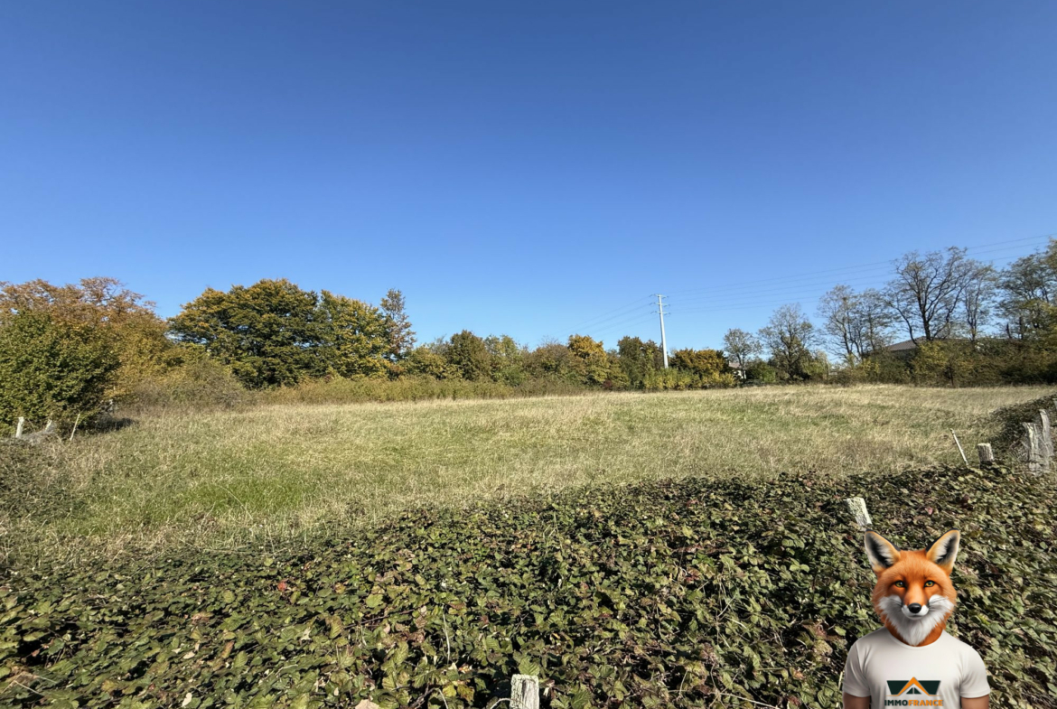 1761210604_VT284_2_original