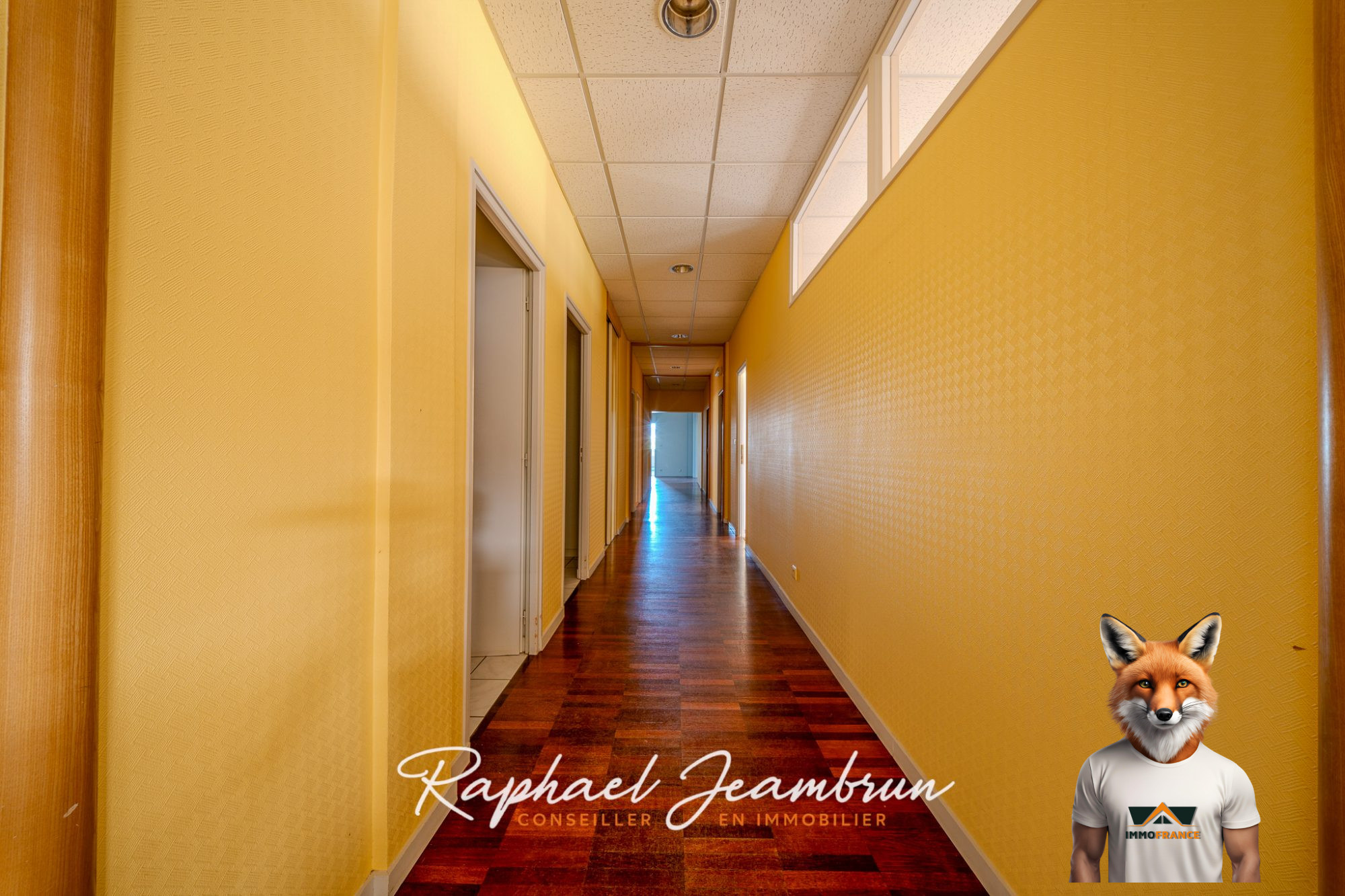 1762348788_VI137_9_original