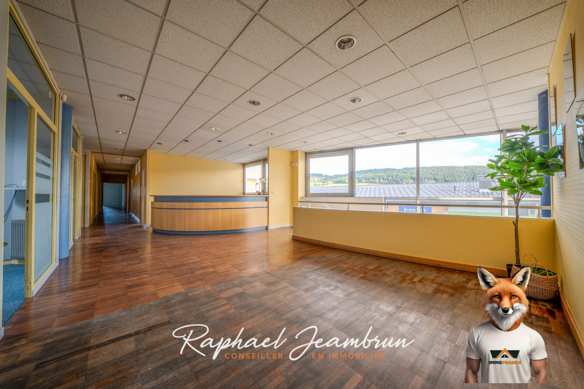 1762348838_VI137_19_original