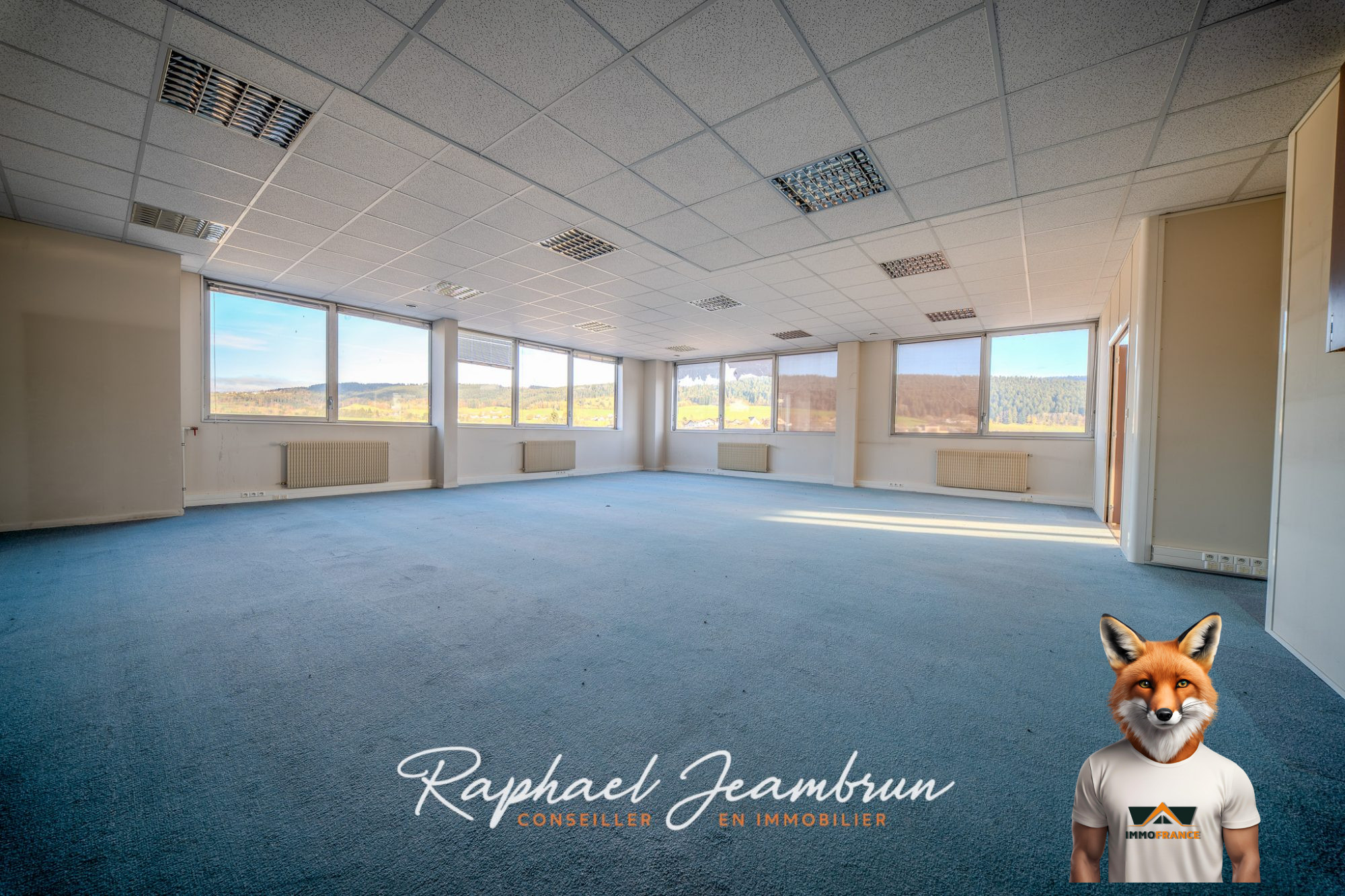 1762348865_VI137_22_original