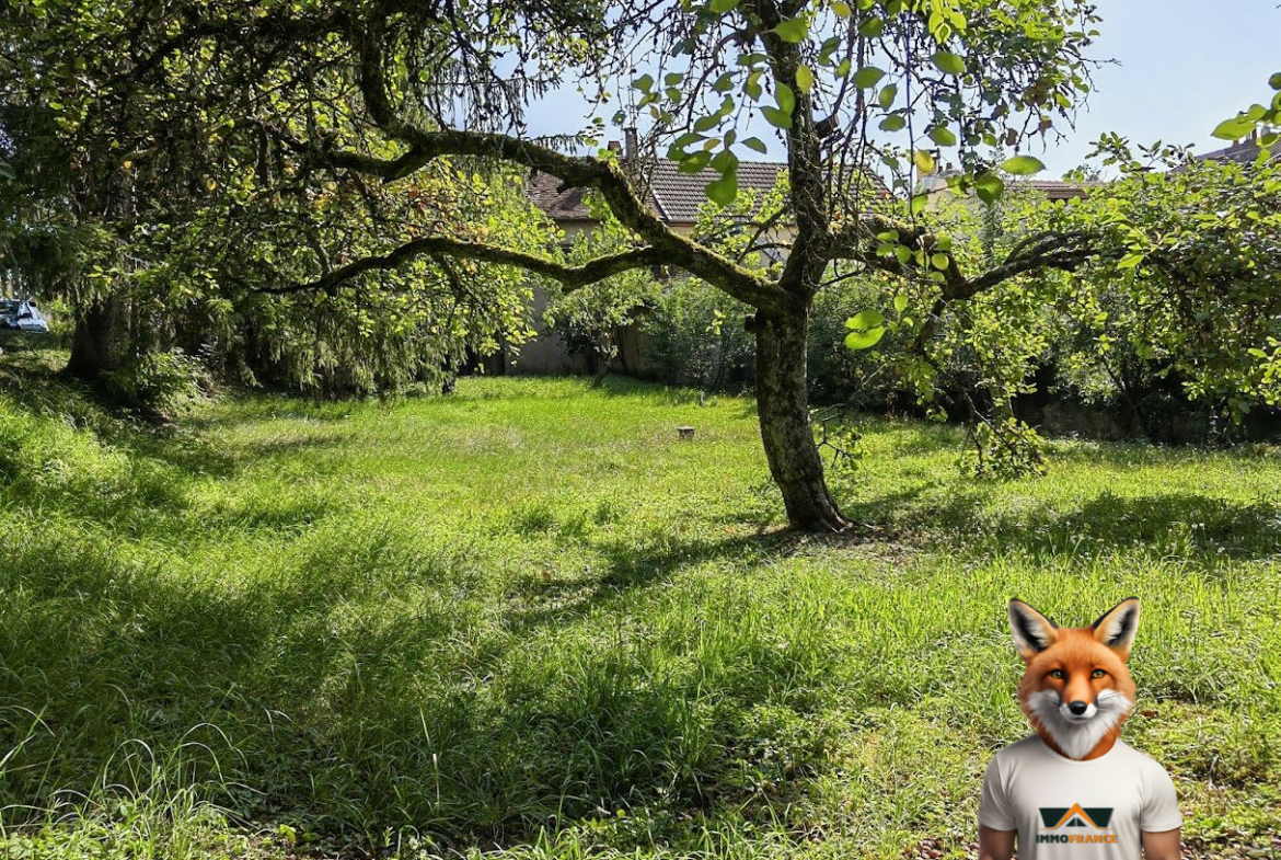 1762771496_VT293_2_original