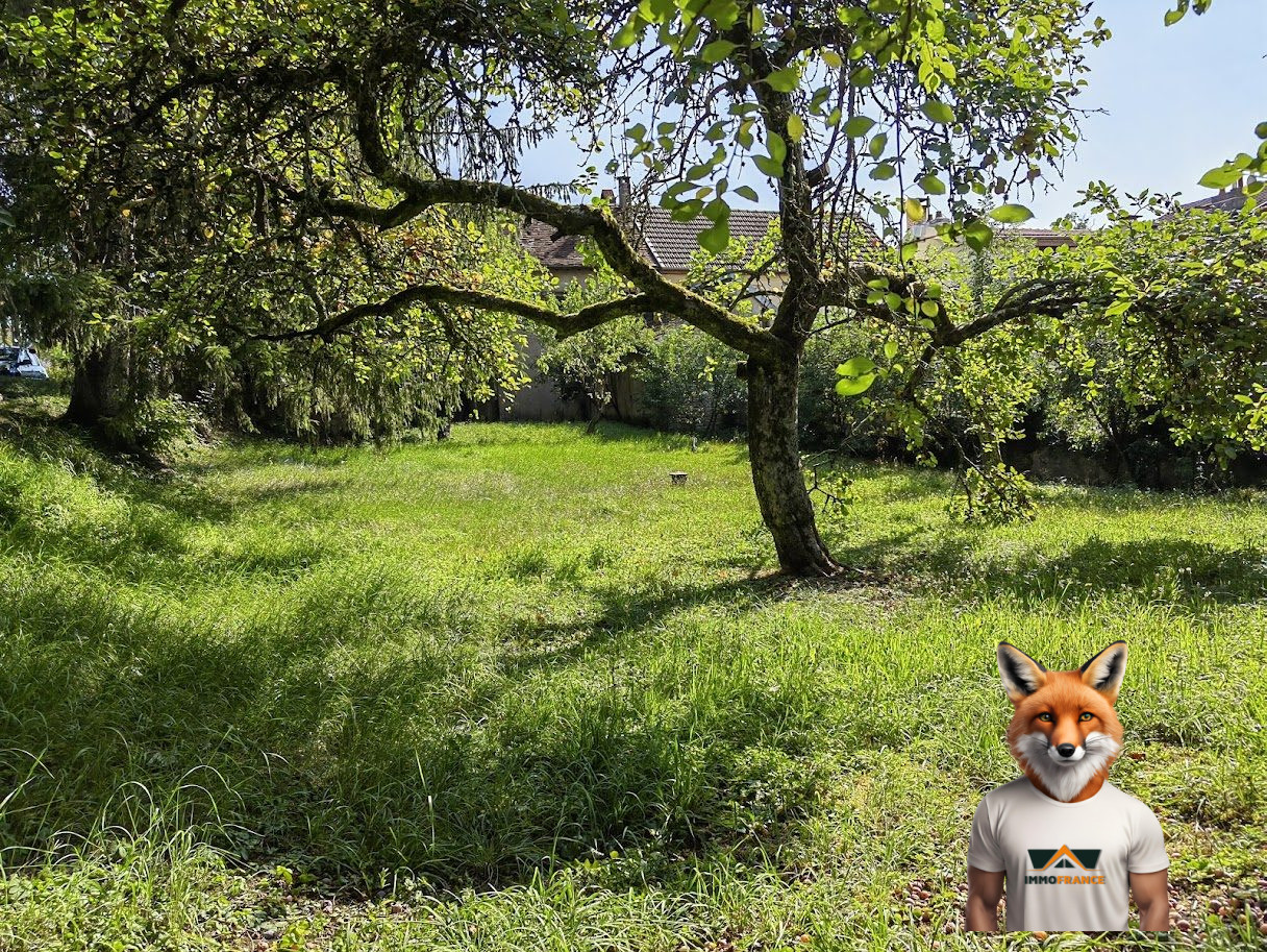 1762771496_VT293_2_original