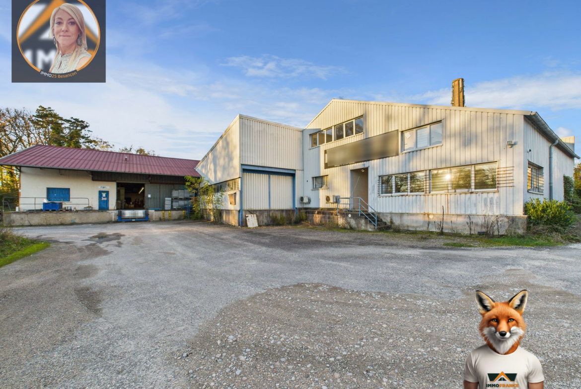 1762787135_VP160_1_original