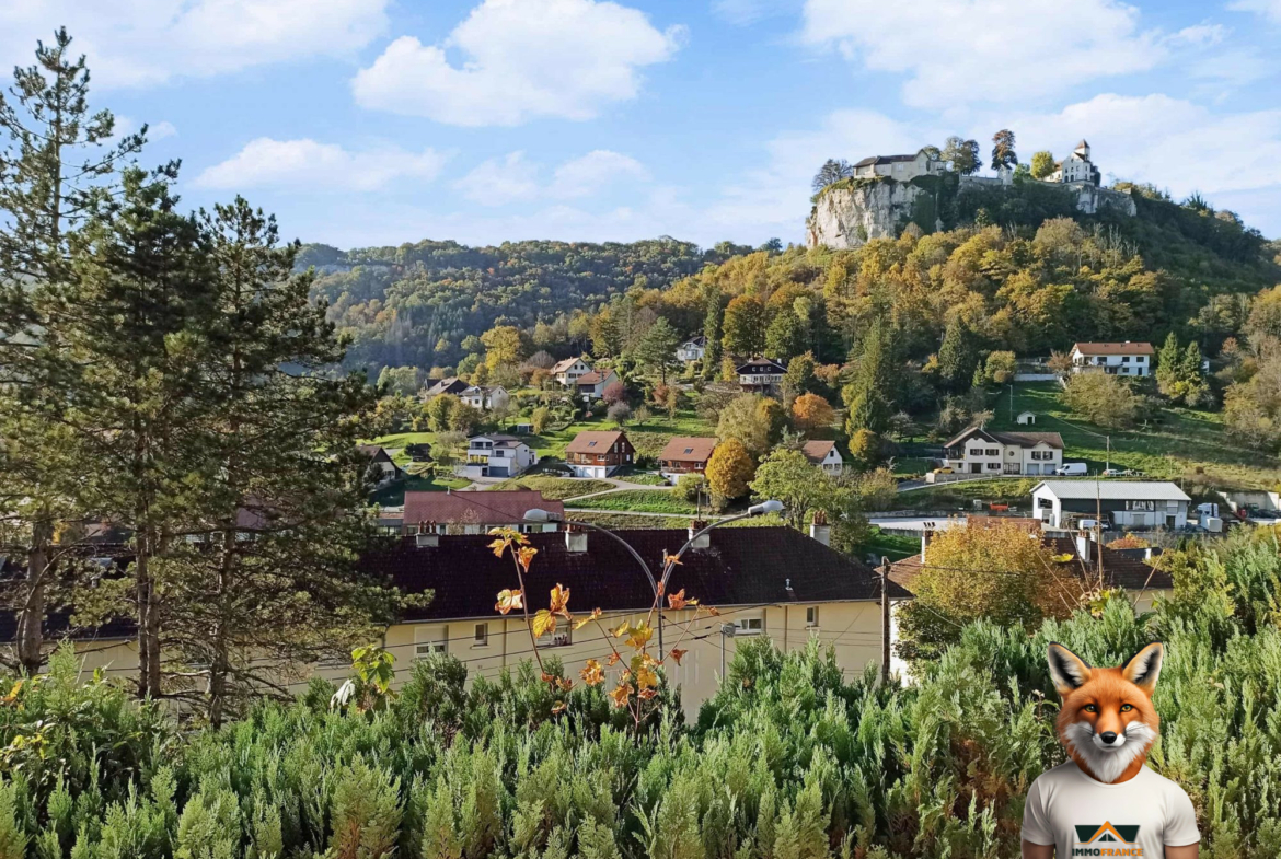 1763016273_VM2381_8_original