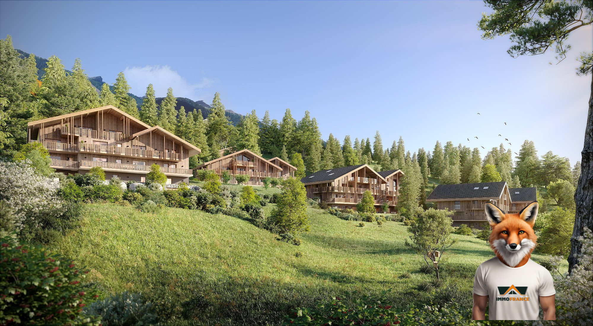 1763983635_VN106_6_original