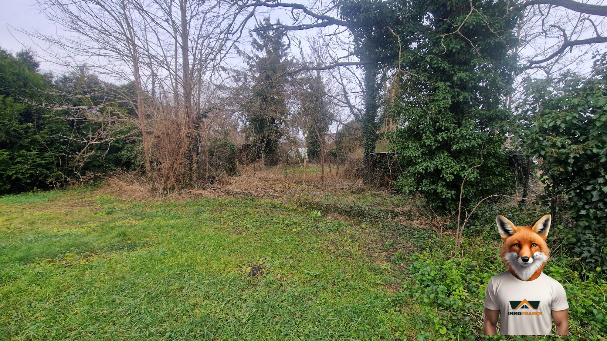 1766053219_VT299_1_original