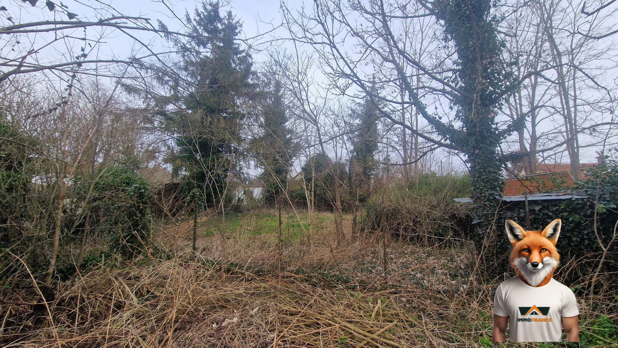 1766053224_VT299_2_original