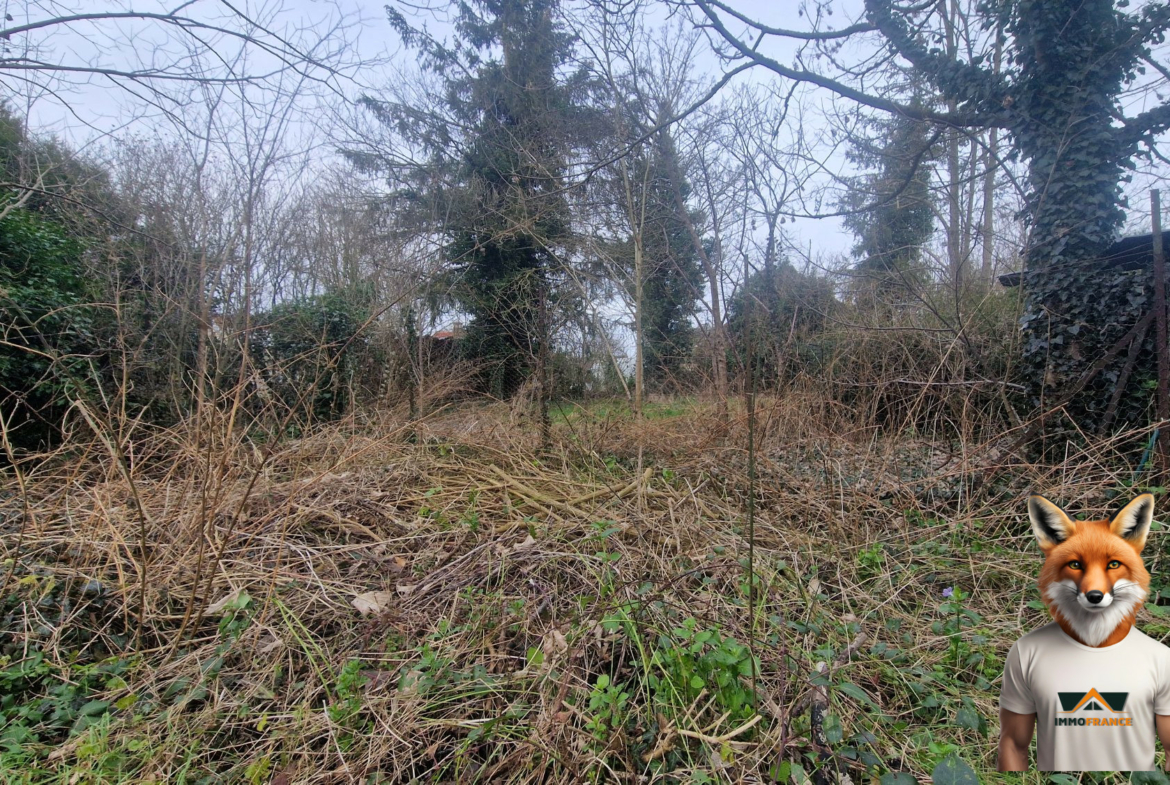 1766053232_VT299_3_original