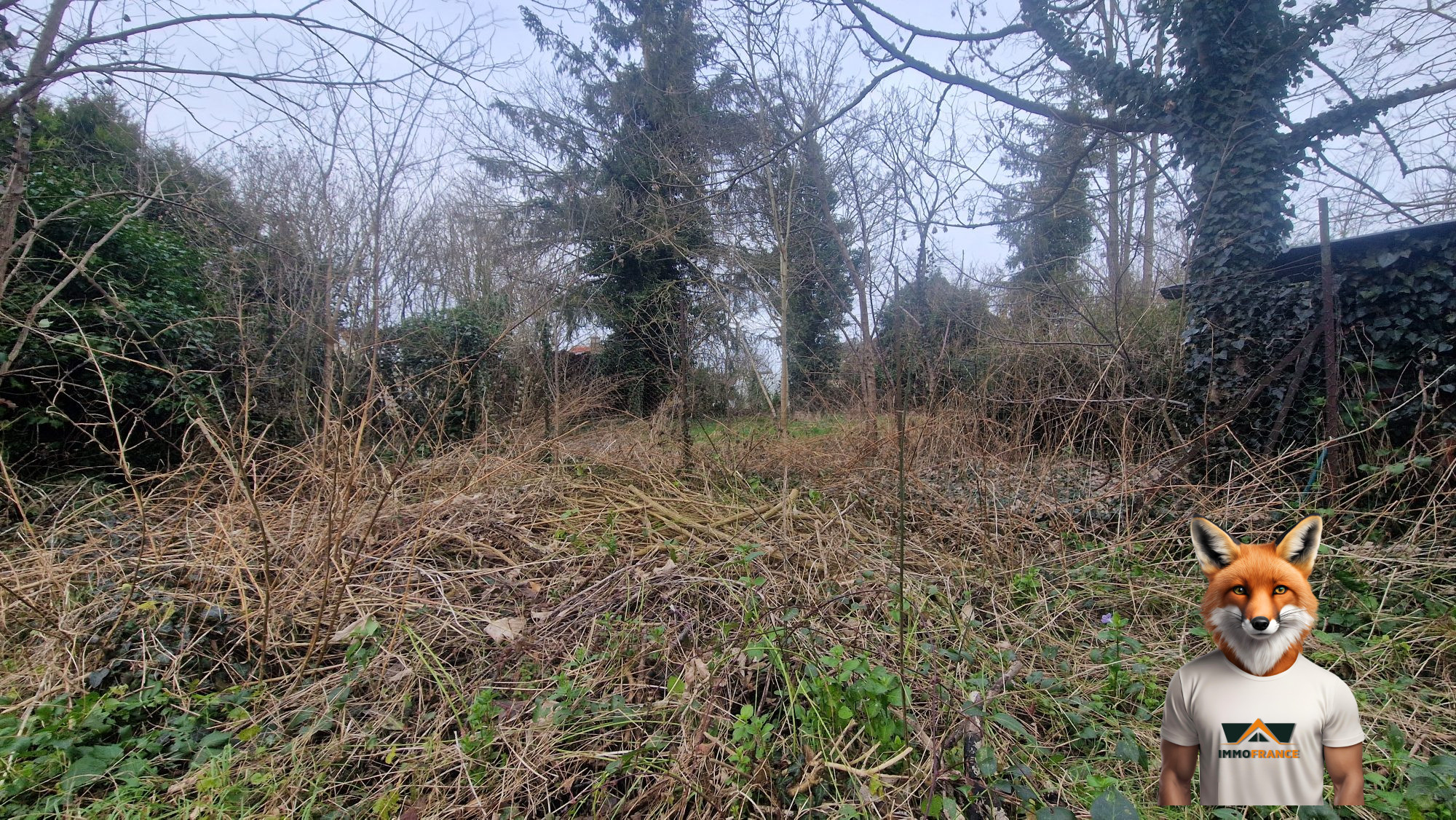 1766053232_VT299_3_original