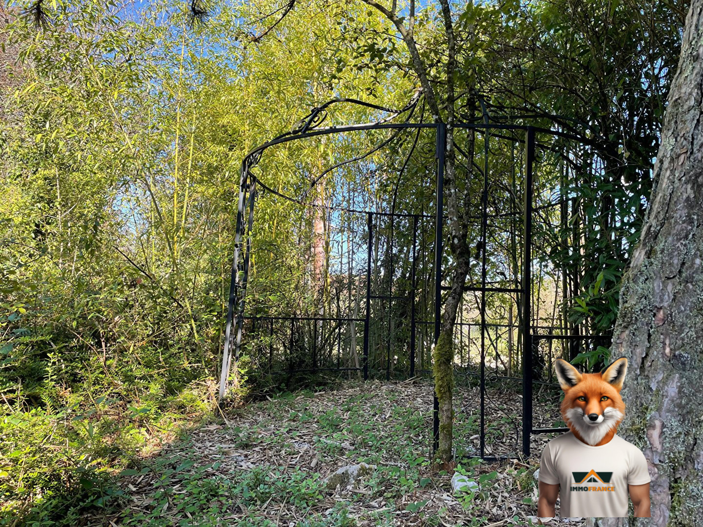 1768515529_VM2470_6_original