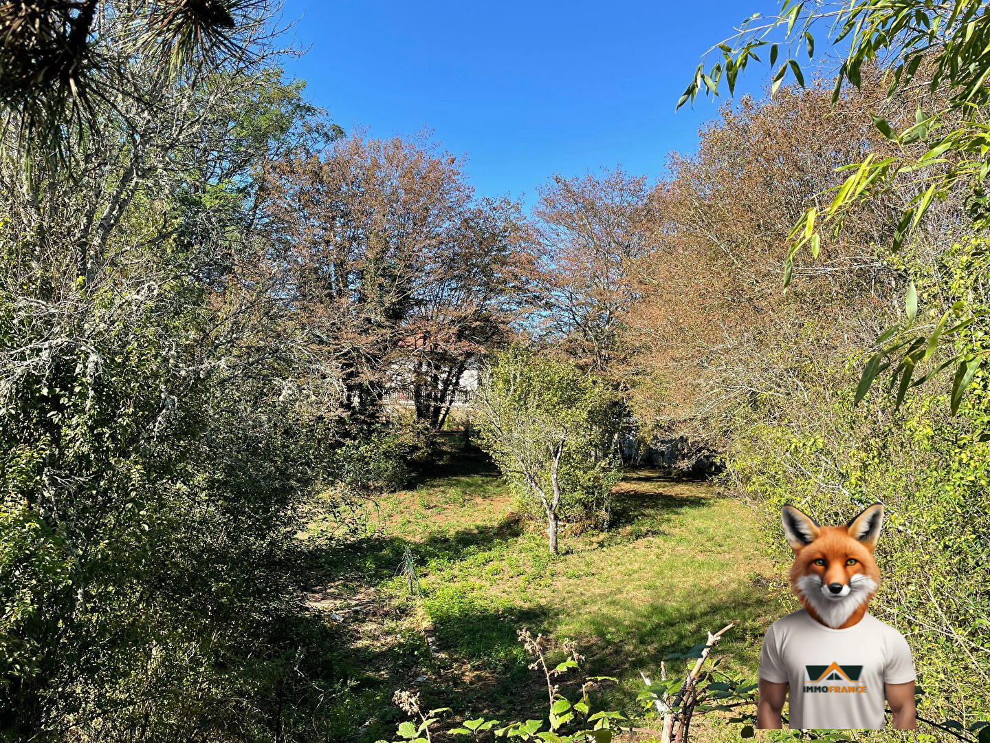 1768515536_VM2470_7_original