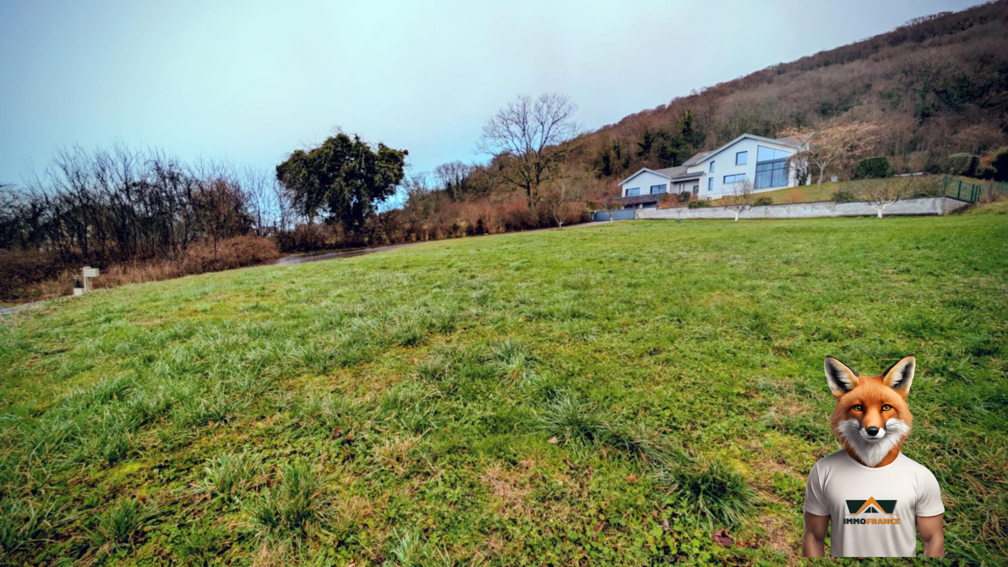 1768648524_VT297_2_original