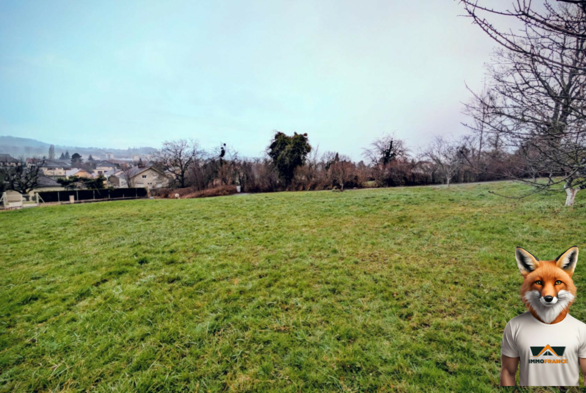 1768648524_VT297_3_original