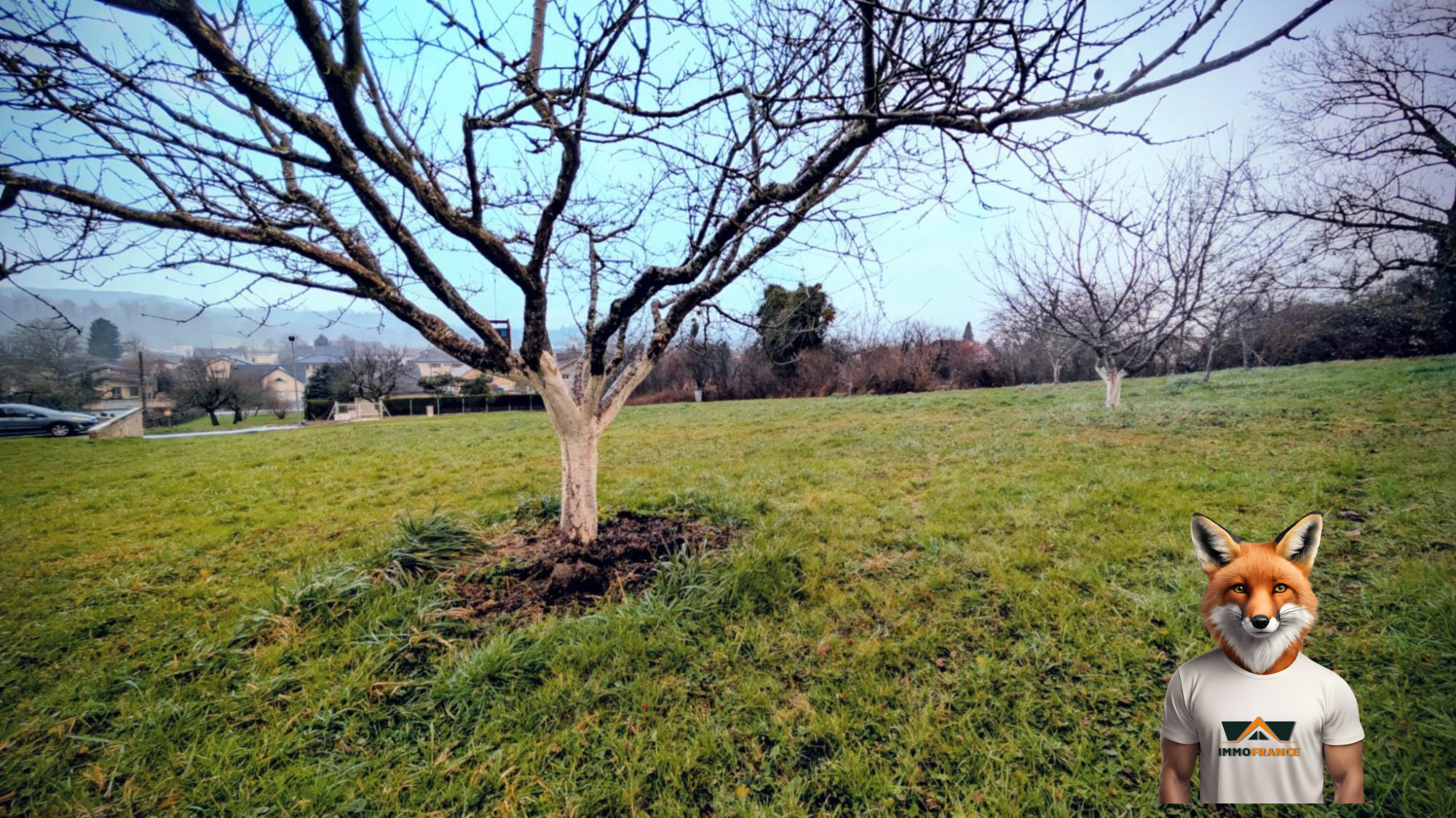 1768648525_VT297_4_original