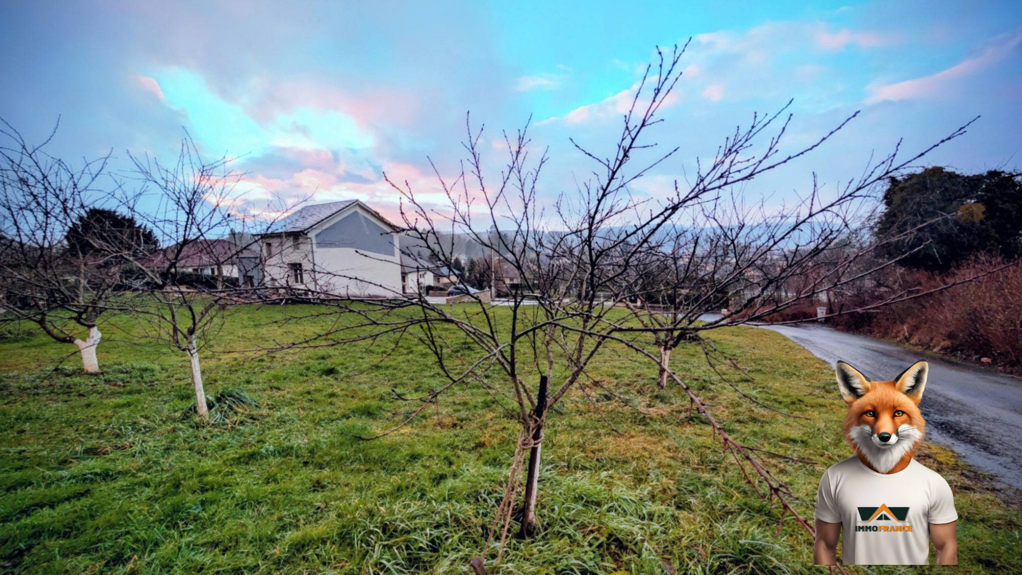 1768648526_VT297_5_original