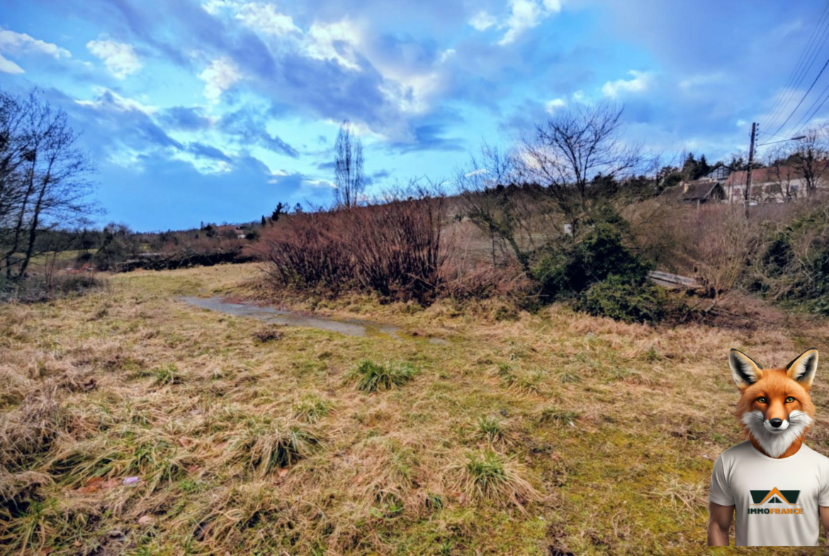 1768653055_VT309_1_original