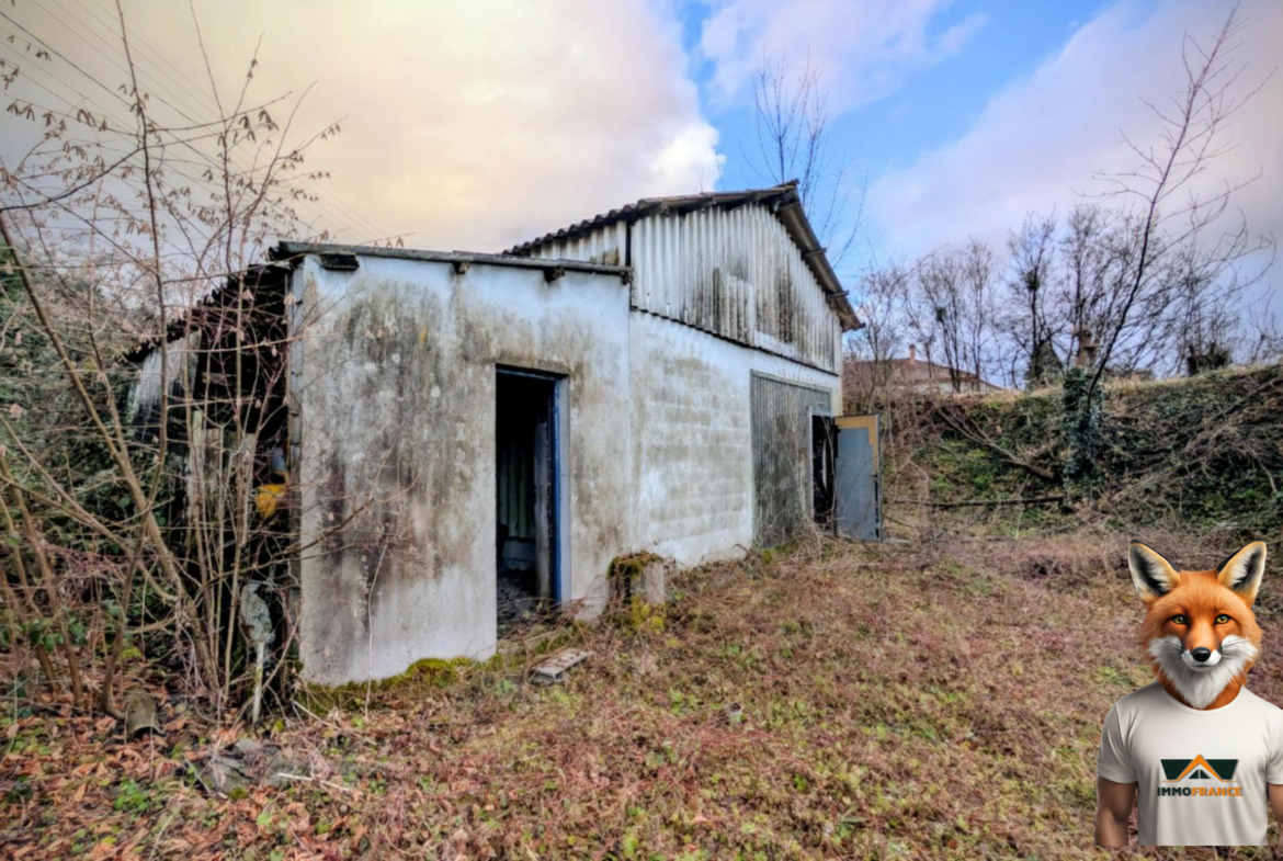 1768653056_VT309_2_original