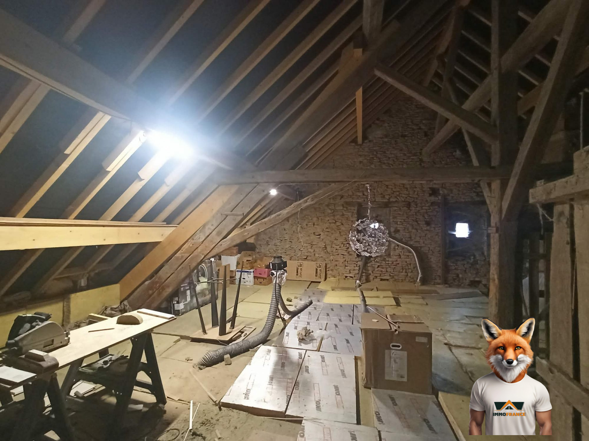 1770177520_VA3881_22_original