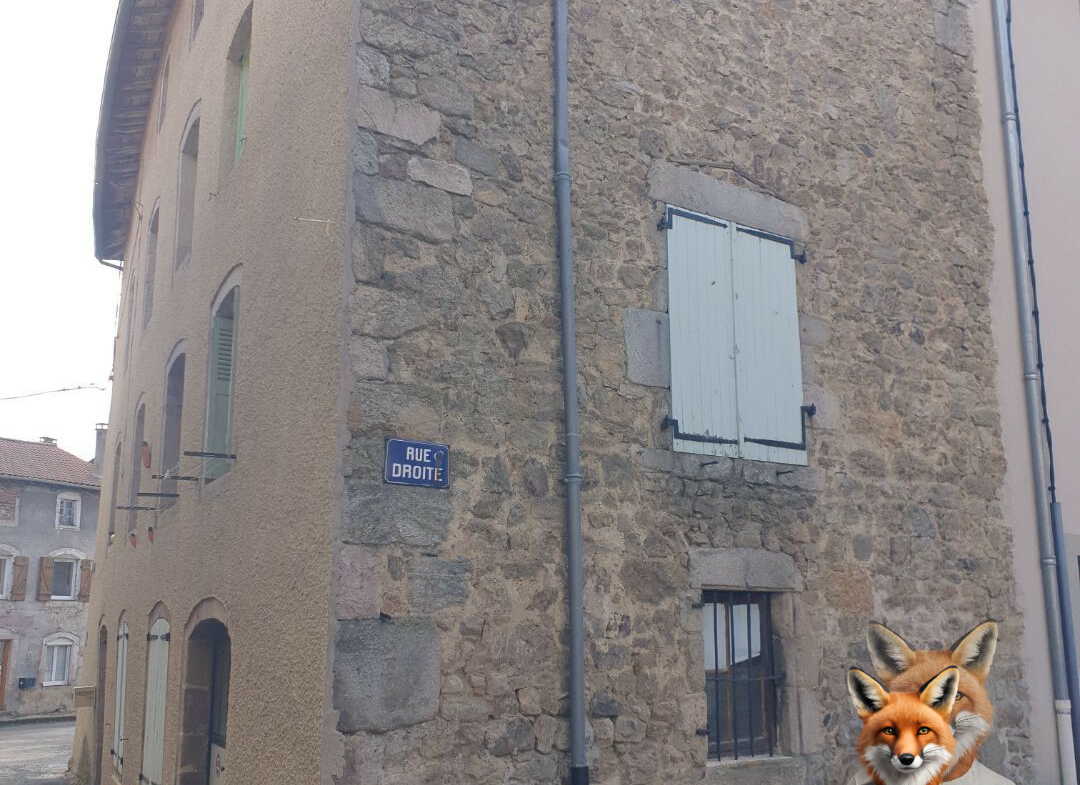 1751894881_VM2114_11_original