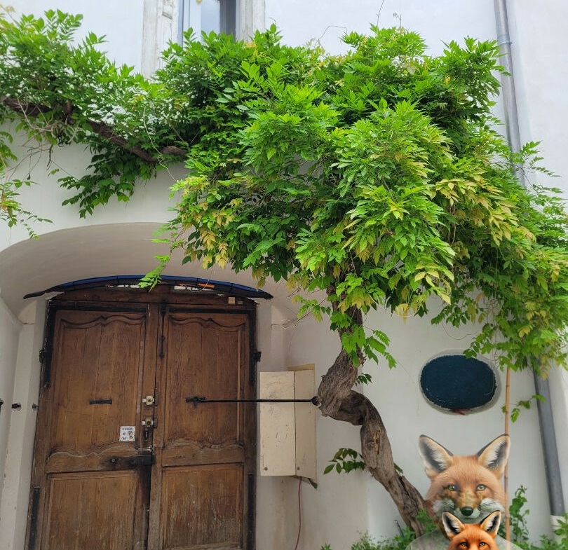 1751894893_VM2158_6_original