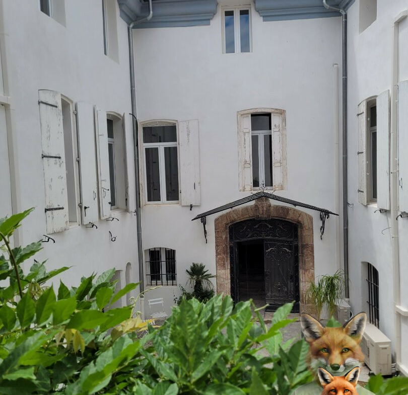 1751894893_VM2158_8_original