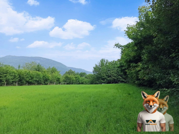 Grand terrain à bâtir 2550 m²  NANS-SOUS-SAINTE-ANNE