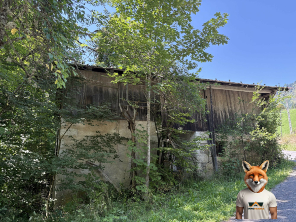 Maison à vendre Samoëns