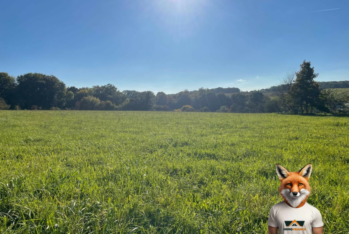 1761914261_VT291_1_original